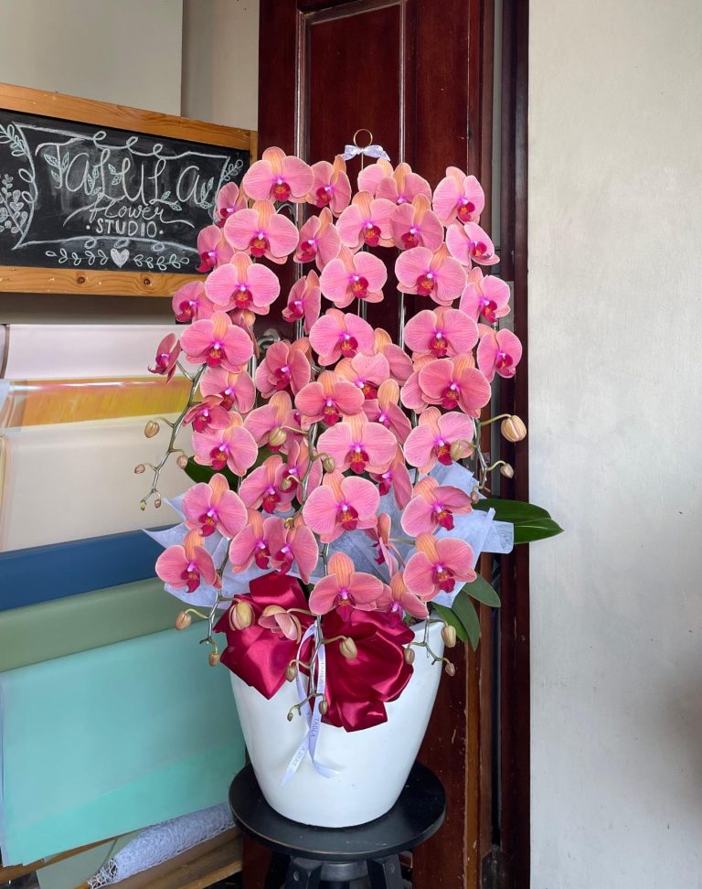 WhatsApp Image 2025-11-13 at 13.30.17