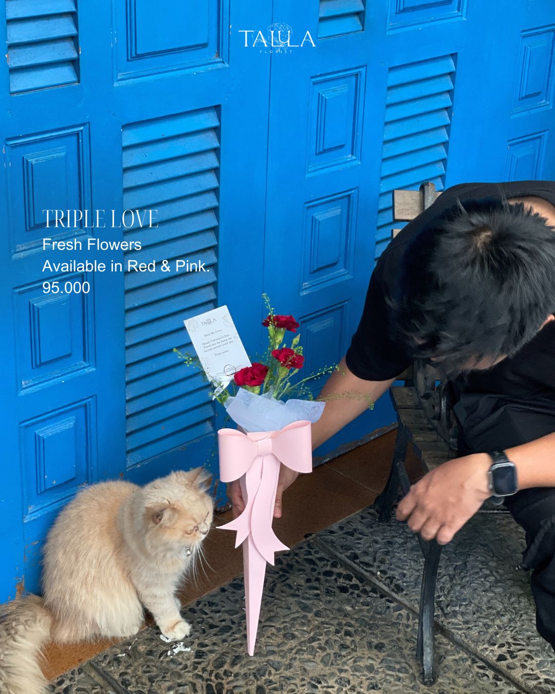 WhatsApp Image 2026-01-27 at 08.39.21