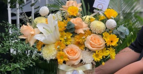 WhatsApp Image 2023-07-28 at 09.58.23