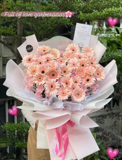 WhatsApp Image 2024-12-09 at 10.24.20