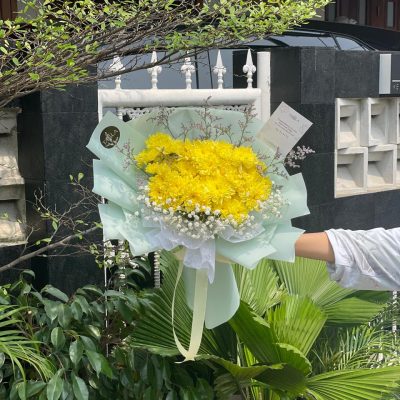 WhatsApp Image 2025-03-10 at 08.43.00