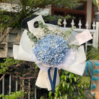 WhatsApp Image 2025-03-10 at 08.59.48