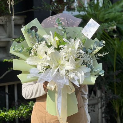 WhatsApp Image 2025-03-10 at 11.23.46