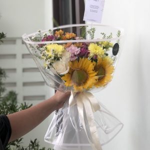aera korean